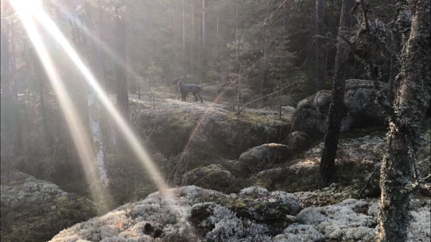 Syksyn kaunein päivä