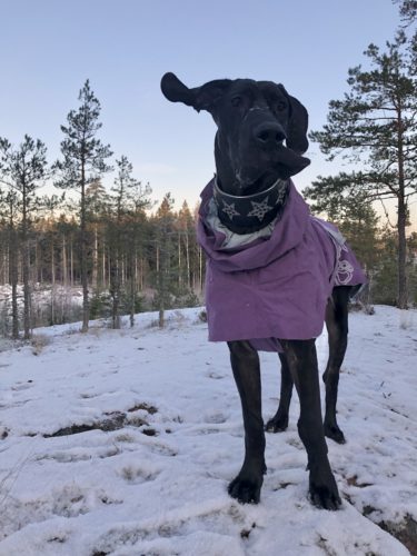 Yritä tässä nyt sit taas!