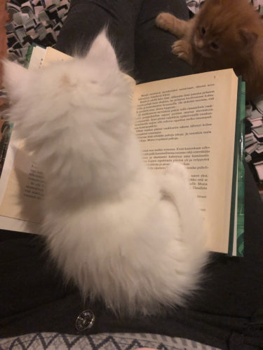 Uusia, opittuja asioita