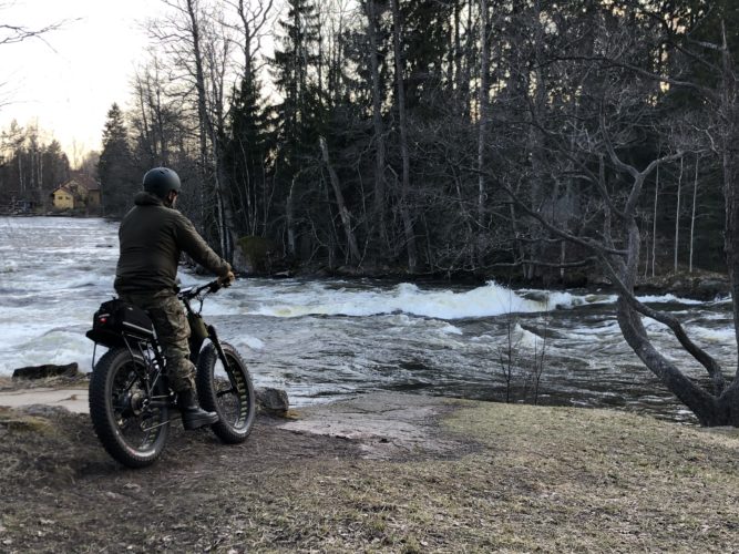 Fillaroinnin ensipuraisut