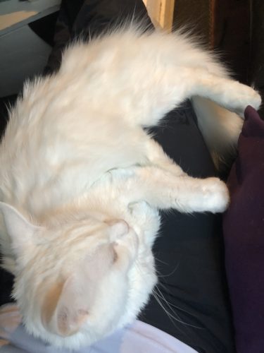 Lumipallo = halipallo