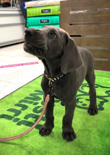 Eka mökkiviikonloppu