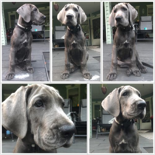 Pikku hiljaa eteenpäin