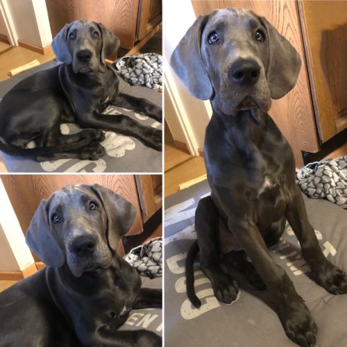 Kesäretki Keski-Suomeen