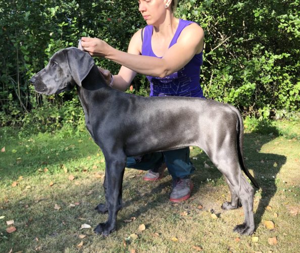 Kasvu- ja kehitysjuttuja