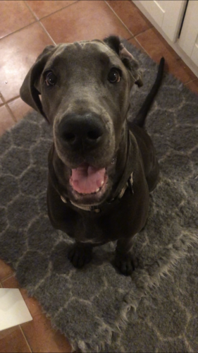 Venla Heikkisen Touhukas Maailma