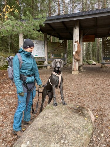 Päivä Repovedellä