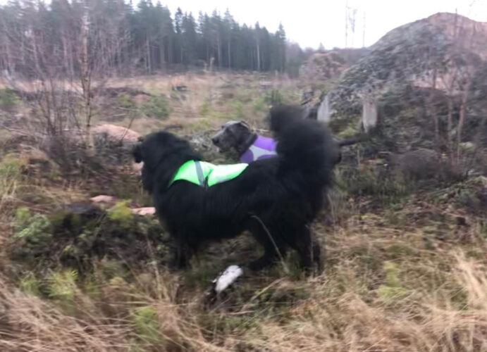 Waldo kävi vierailulla