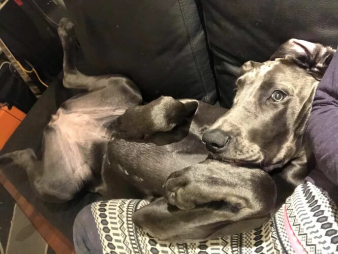 Eräänä tavallisena arki-iltana kerran...