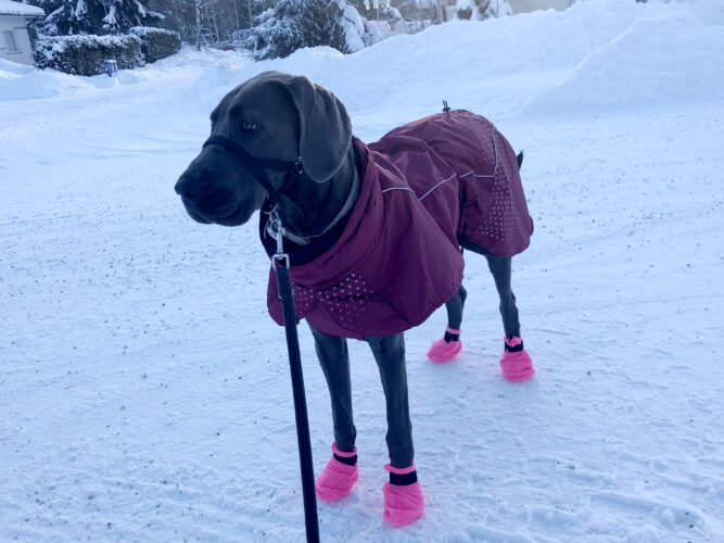 Talvivarusteet testiin