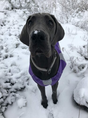 Uusi vuosi ja uusi lumi