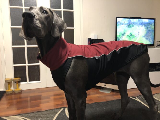 Varustepäivityksiä