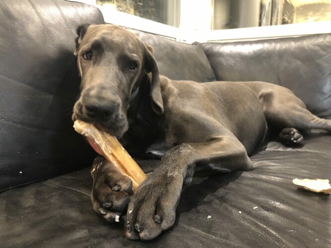 Mitäs meillä nyt syödään?