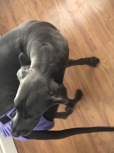 Tue suomalaista työtä ja yritystoimintaa