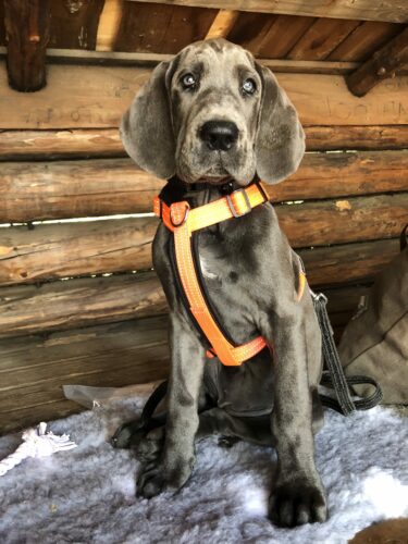 Kukuljärven kierros