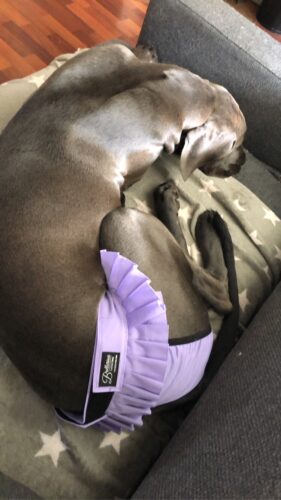 Isojen tyttöjen juttuja