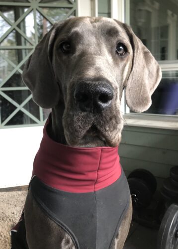 Kato nyt kuin söpö!