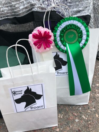 Debyyttiesitys open show'ssa