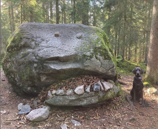 Askolan hiidenkirnut