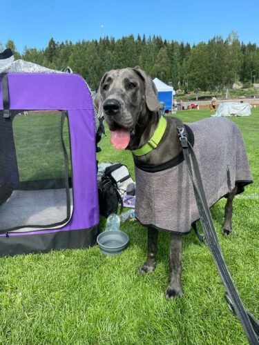 Ruokolahden ryhmänäyttely 10.7.